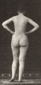 Plate 531 Various poses — figure reference